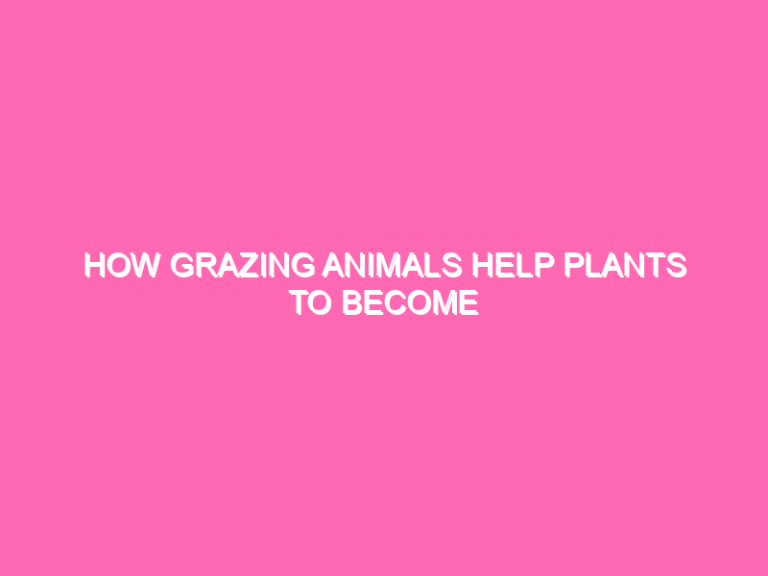 How Grazing Animals Help Plants To Become Established