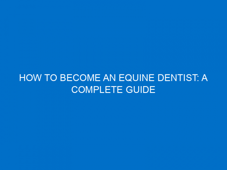 How To Become An Equine Dentist: A Complete Guide