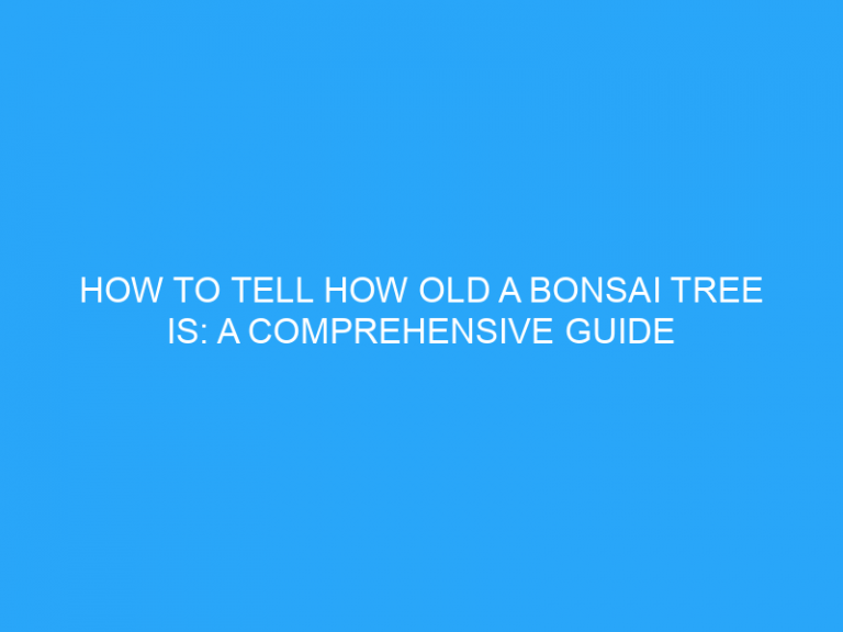 How To Tell How Old A Bonsai Tree Is: A Comprehensive Guide