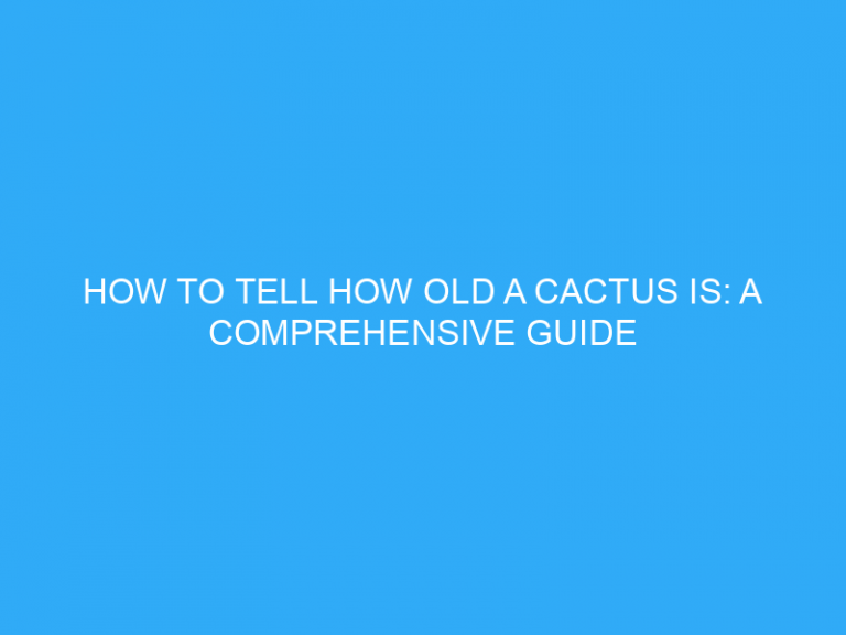 How To Tell How Old A Cactus Is: A Comprehensive Guide