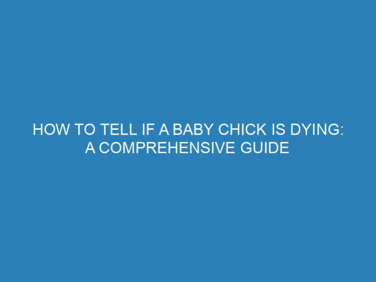 How To Tell If A Baby Chick Is Dying: A Comprehensive Guide