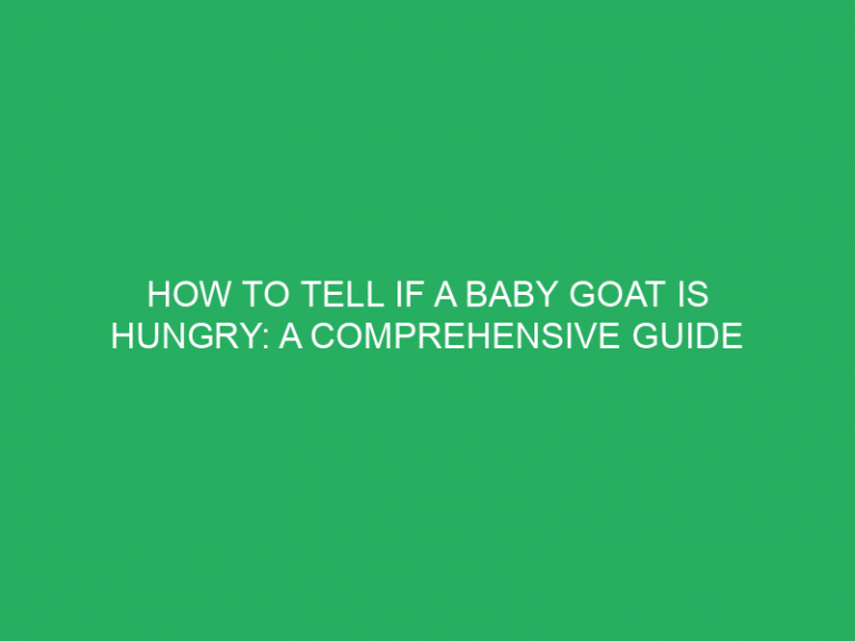 How To Tell If A Baby Goat Is Hungry: A Comprehensive Guide