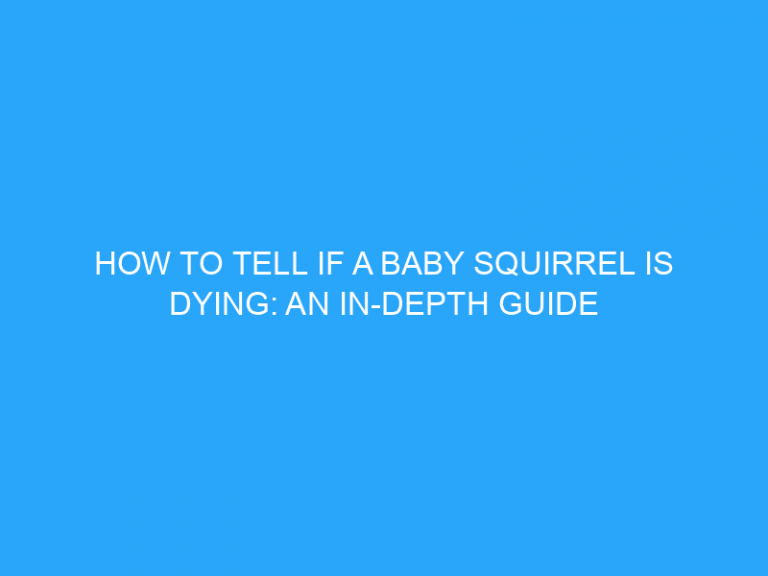 How To Tell If A Baby Squirrel Is Dying: An In-Depth Guide