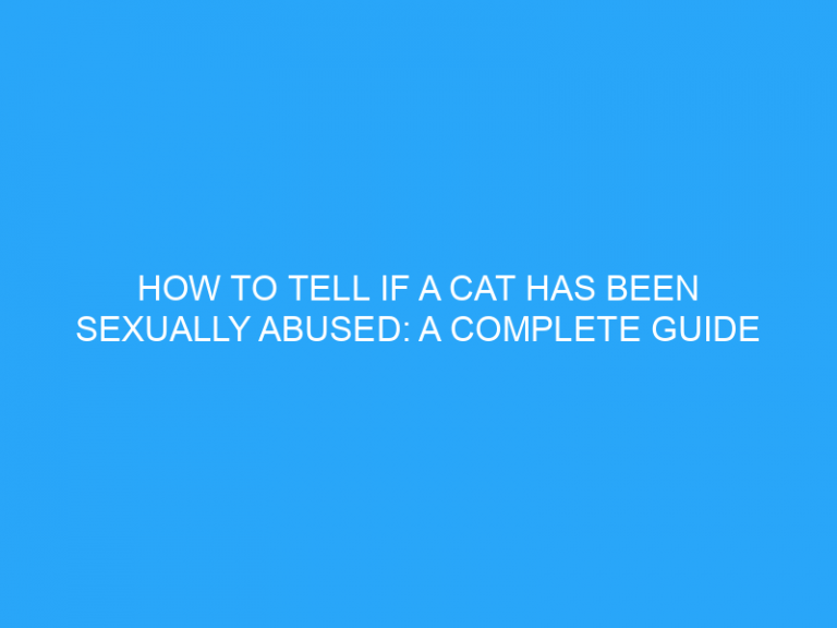 How To Tell If A Cat Has Been Sexually Abused: A Complete Guide