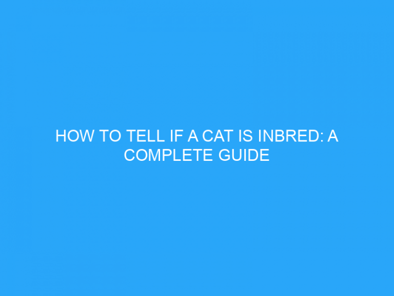 How To Tell If A Cat Is Inbred: A Complete Guide