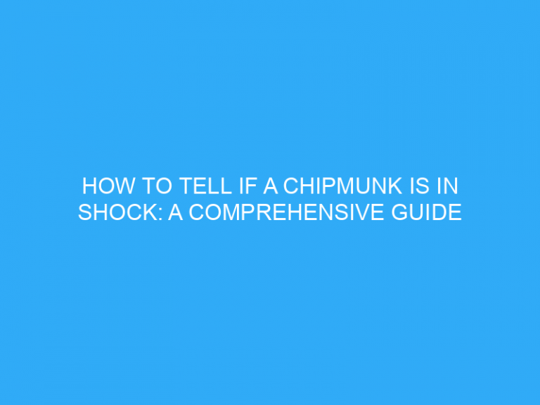 How To Tell If A Chipmunk Is In Shock: A Comprehensive Guide