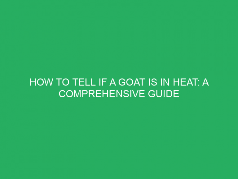 How To Tell If A Goat Is In Heat: A Comprehensive Guide