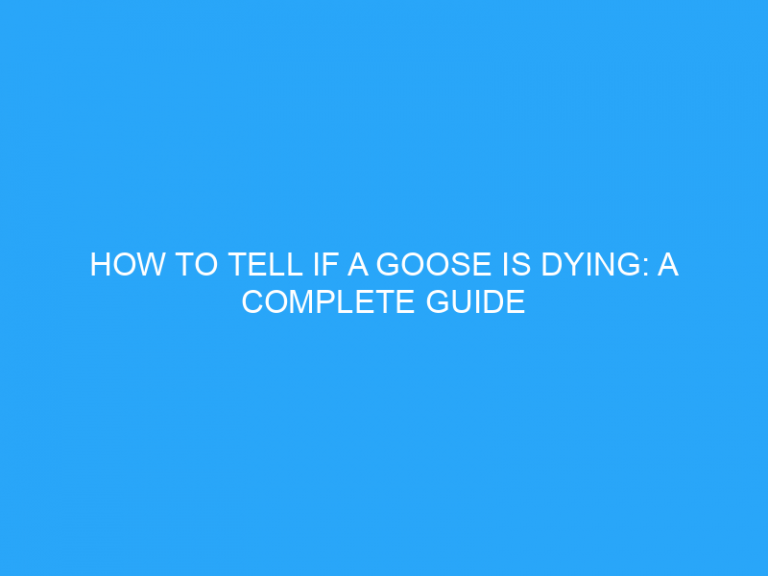 How To Tell If A Goose Is Dying: A Complete Guide