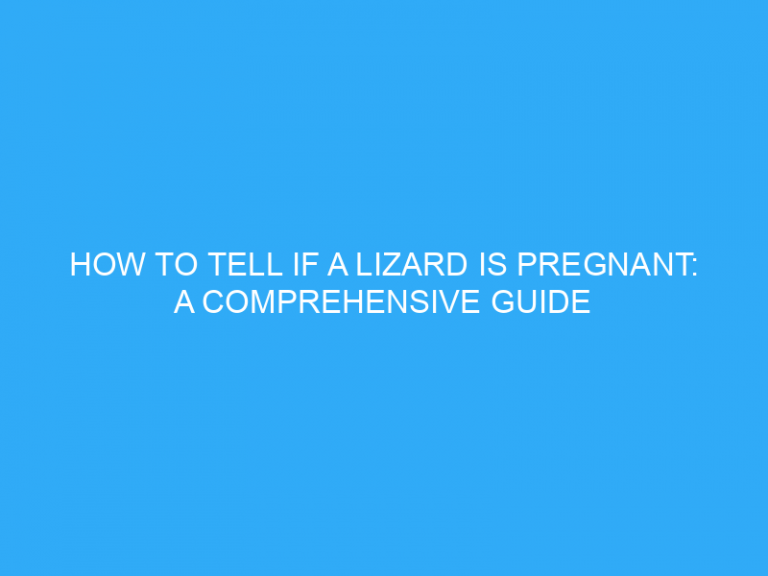 How To Tell If A Lizard Is Pregnant: A Comprehensive Guide