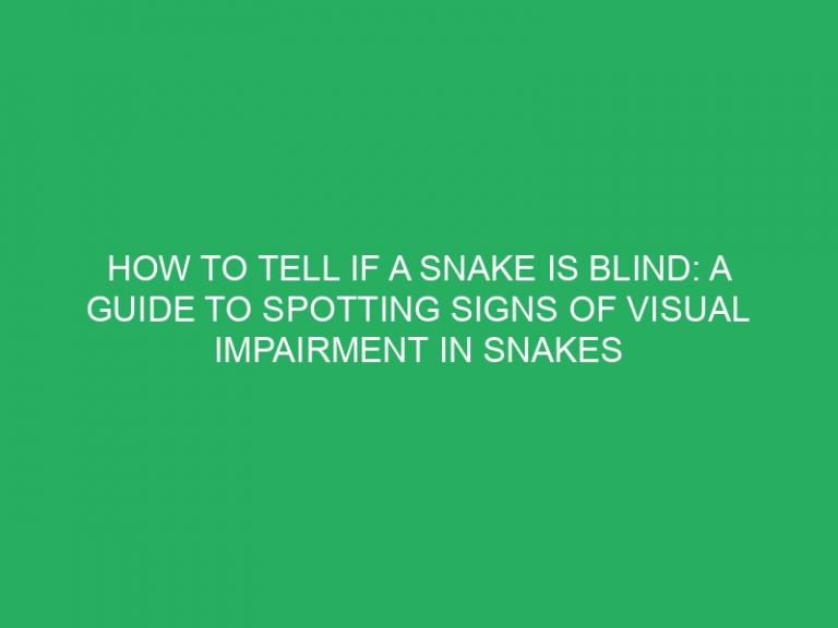 How To Tell If A Snake Is Blind: A Guide To Spotting Signs Of Visual Impairment In Snakes