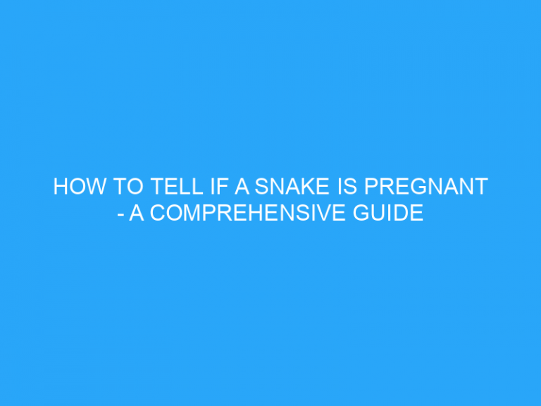 How To Tell If A Snake Is Pregnant – A Comprehensive Guide