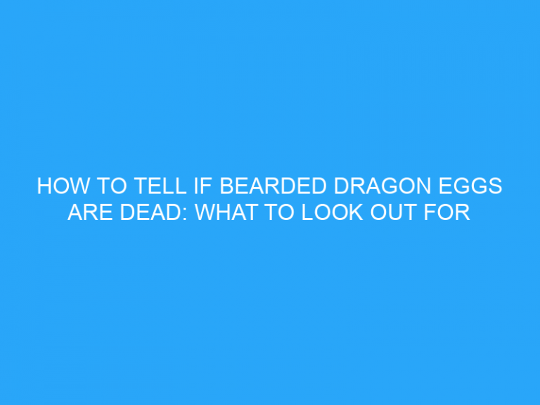 How To Tell If Bearded Dragon Eggs Are Dead: What To Look Out For