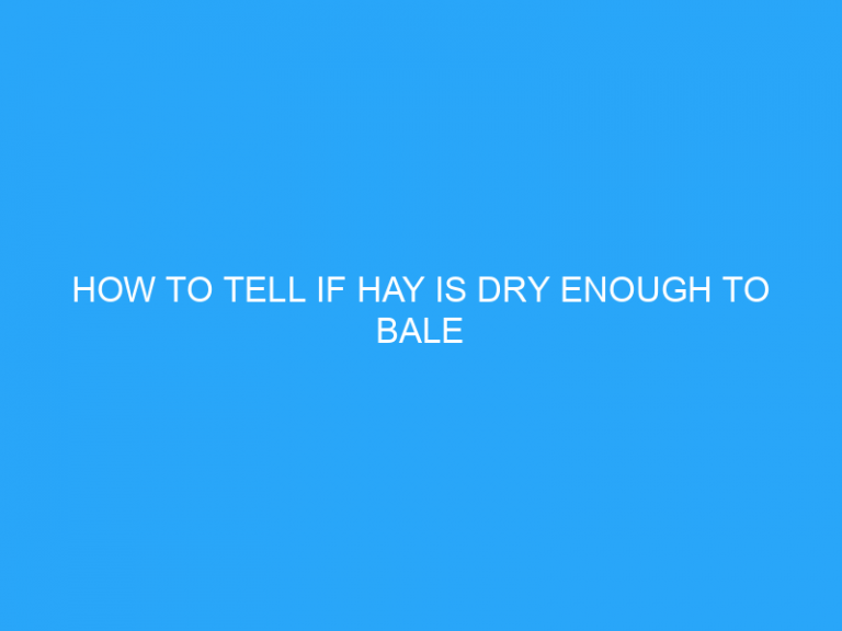 How To Tell If Hay Is Dry Enough To Bale