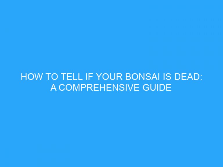 How To Tell If Your Bonsai Is Dead: A Comprehensive Guide