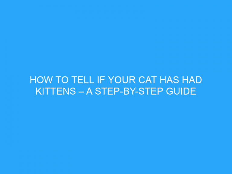 How To Tell If Your Cat Has Had Kittens – A Step-By-Step Guide