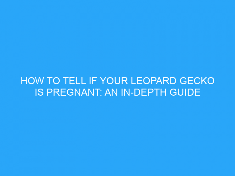 How To Tell If Your Leopard Gecko Is Pregnant: An In-Depth Guide