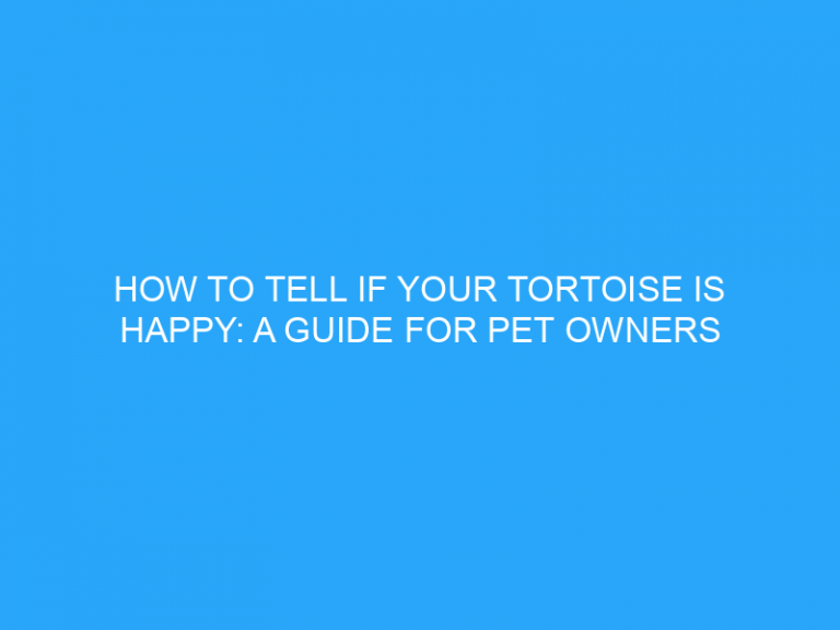 How To Tell If Your Tortoise Is Happy: A Guide For Pet Owners