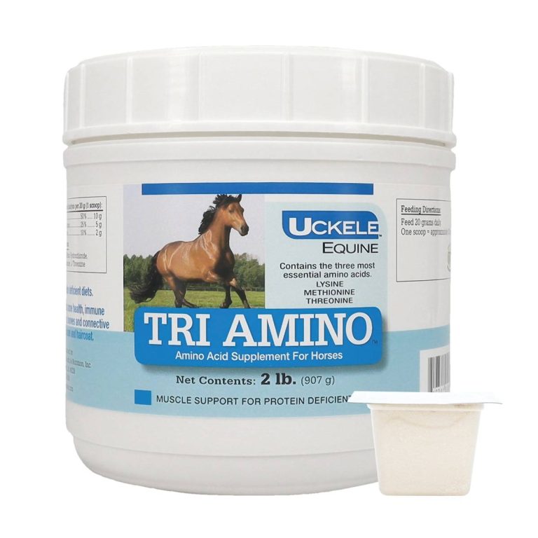 2023: The Best Amino Acid Supplement For Horses – A Comprehensive Guide