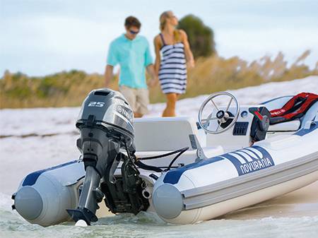 The Ultimate Guide To Finding The Best Battery For A 25 Hp Outboard Motor In 2023