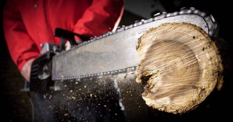 2023 Chainsaw Chains: The Best Picks For Smooth, Efficient Cuts!