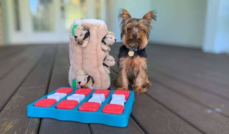 2023’S Best Chew Toys For Your Loving Yorkie Puppies – Keep Your Pup Happy & Entertained!