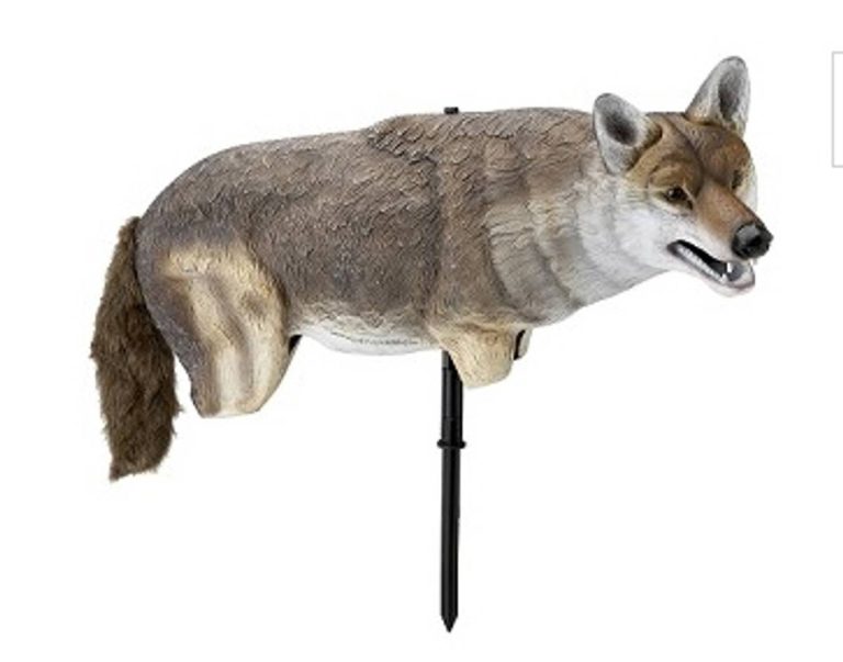 The Best Coyote Decoy For Geese In 2023: Find Out Which Option Is Right For You