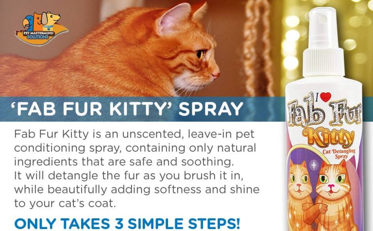 2023’S Top-Rated Detangling Spray For Cats: Get Fluffy Fur & Say Goodbye To Knots!