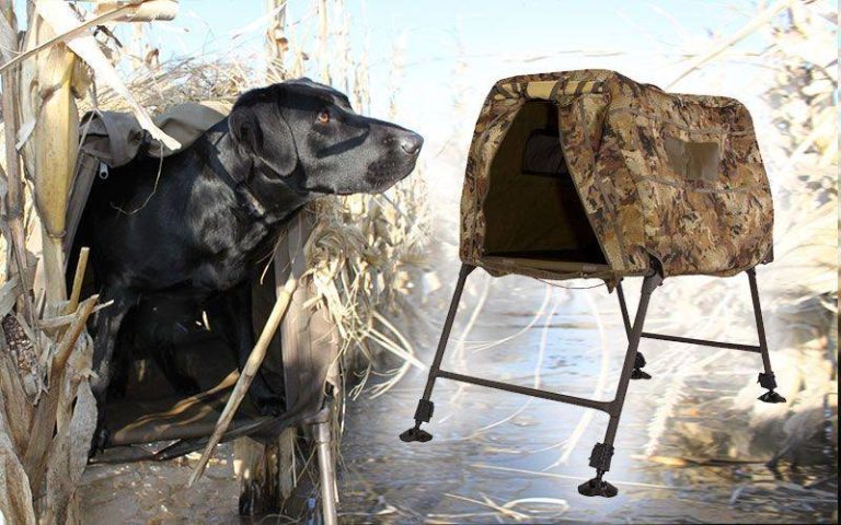 2023: Find The Best Dog Blind For Duck Hunting – Get Ready To Have A Great Season!