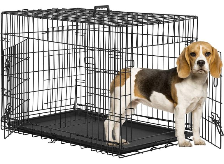 2023: The Best Dog Crates For Beagles – Finding The Right Crate For Your Furry Friend!