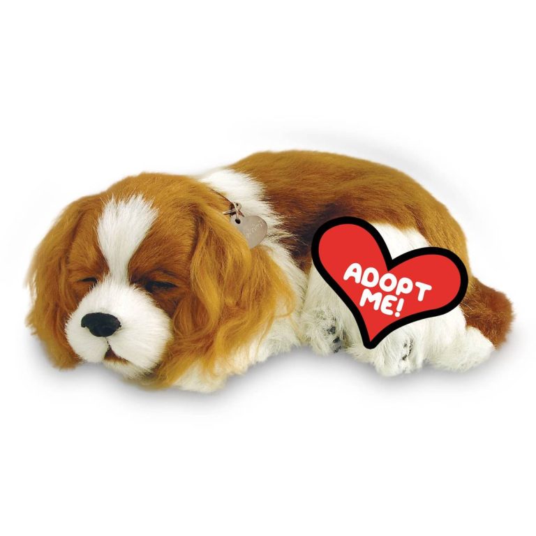 2023’S Top Toys For Your Cavalier King Charles: The Ultimate Guide!