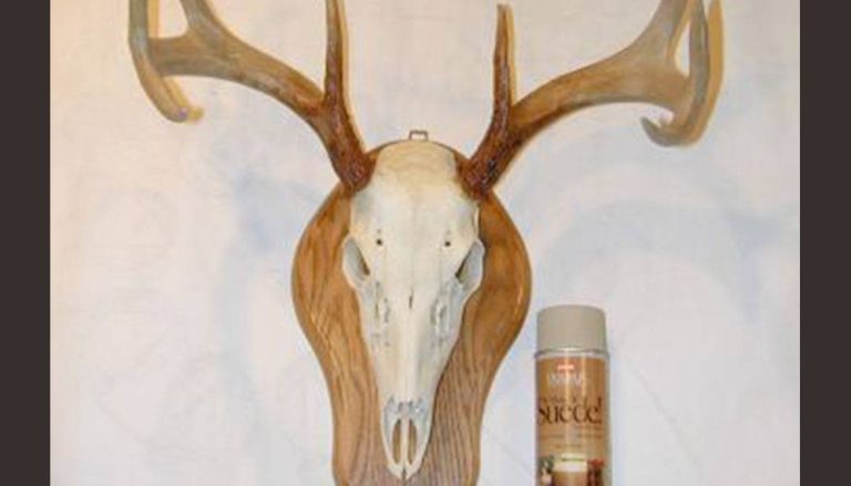 2023’S Top Picks For The Best Epoxy For Antler Repair: What You Need To Know