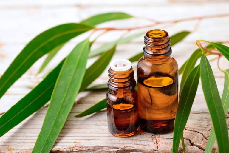 2023 Guide To Finding The Best Eucalyptus Oil For Healthy Gums