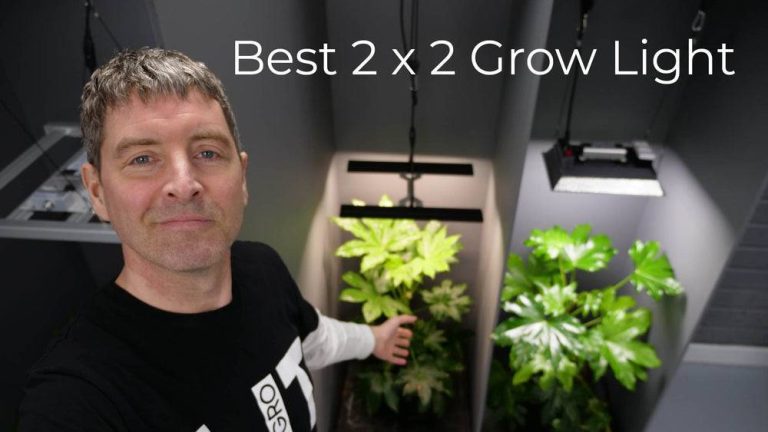 2023’S Best Grow Light For A 2X2 Tent: Get Maximum Yield With The Right Light!