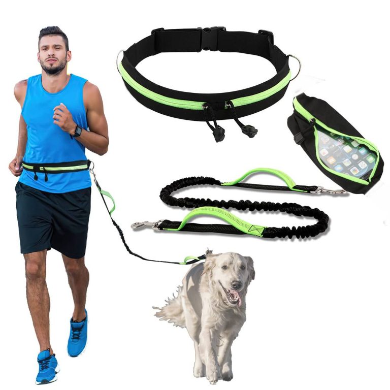 2023’S Best Hands Free Dog Leashes For Running: Keep Your Pup By Your Side While You Exercise!