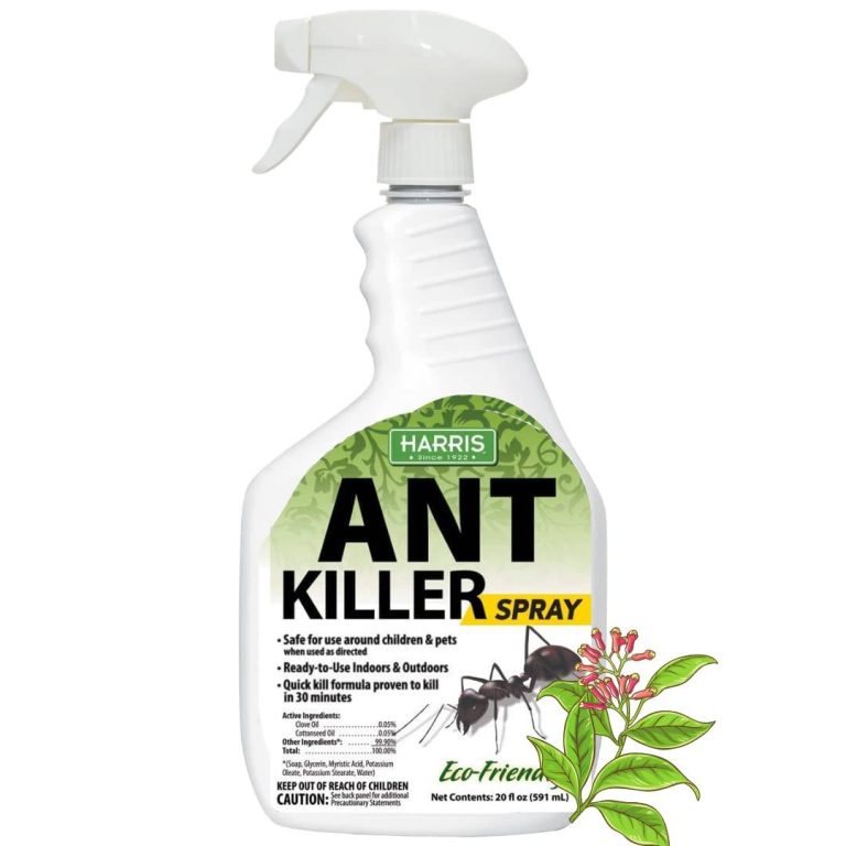 The Ultimate Guide To Finding The Best Indoor Ant Killer Safe For Pets In 2023