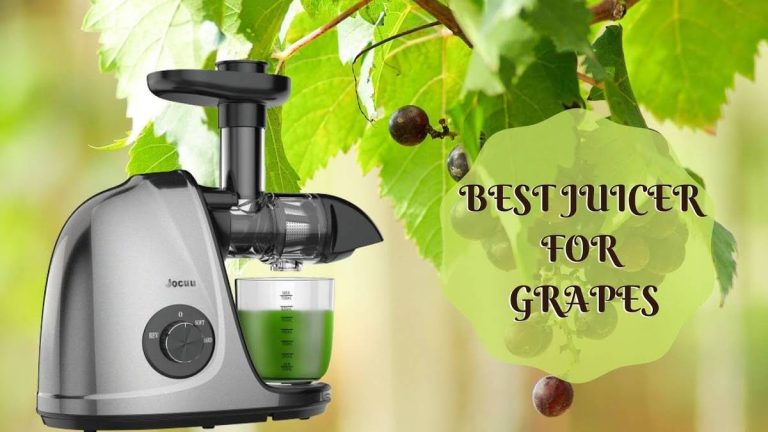 Discover The Top Juicers For Grapes In 2023: Get Ready For A Refreshingly Delicious Juice!