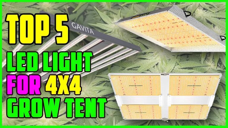 Discover The Top 10 Led Grow Lights For A 4X4 In 2023 – Reviews & Buyer’S Guide