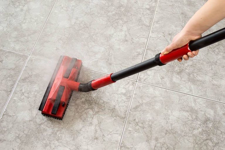 Discover The Must-Have Mop For Dog Pee In 2023: Top Picks To Keep Your Floors Spotless!