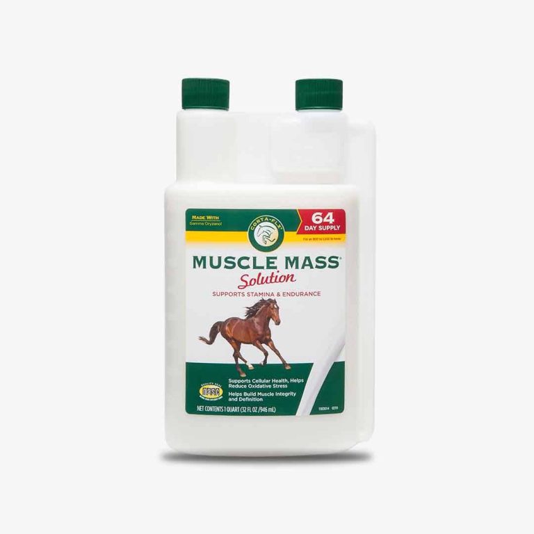 2023’S Top Picks: The Best Muscle Building Supplements For Horses