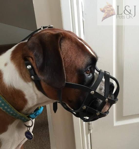 2023 Guide To Finding The Perfect Muzzle For Your Boxer Dog!