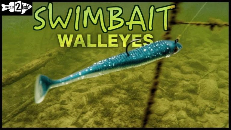 2023 Fishing Guide: Discover The Best Paddle Tail Swimbait For Catching Walleye