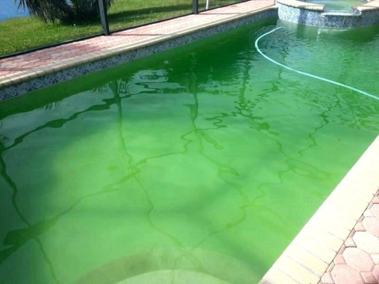 2023’S Best Phosphate Remover For Pools – Get Rid Of Algae And Maintain Crystal Clear Water!