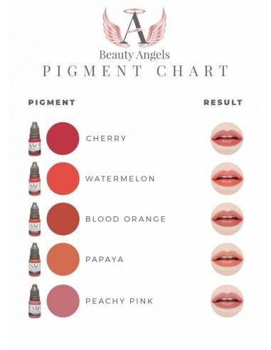 2023: The Best Pmu Lip Pigments To Create The Perfect Pout!