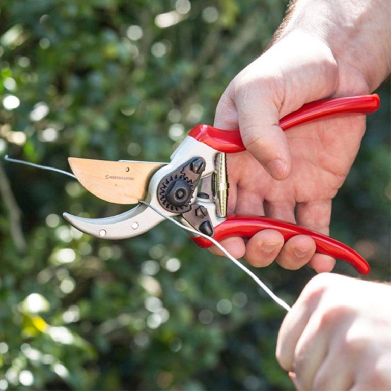 2023’S Top 10 Pruners For Arthritic Hands: Get A Pain-Free Garden Pruning Experience Now!