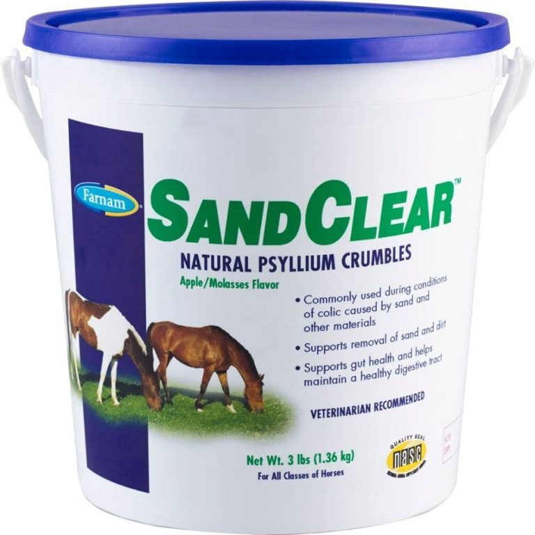 2023’S Best Psyllium For Horses: Get Ready For Optimal Health And Performance!