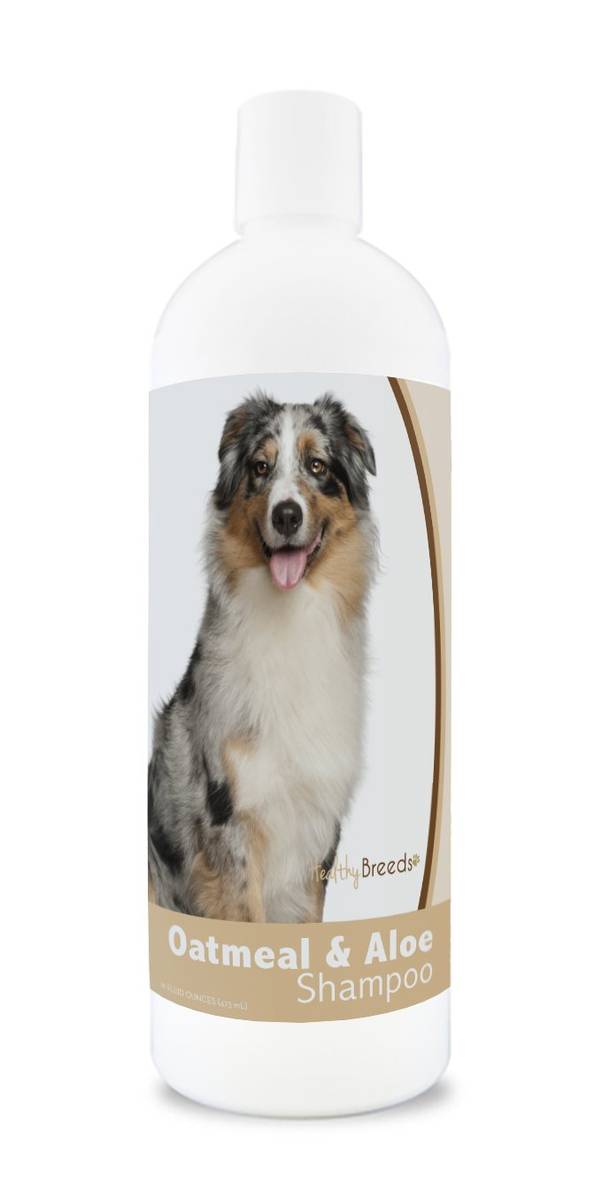 2023’S Best Shampoo & Conditioner For Australian Shepherds – Shine And Soften Their Coat Like Never Before!