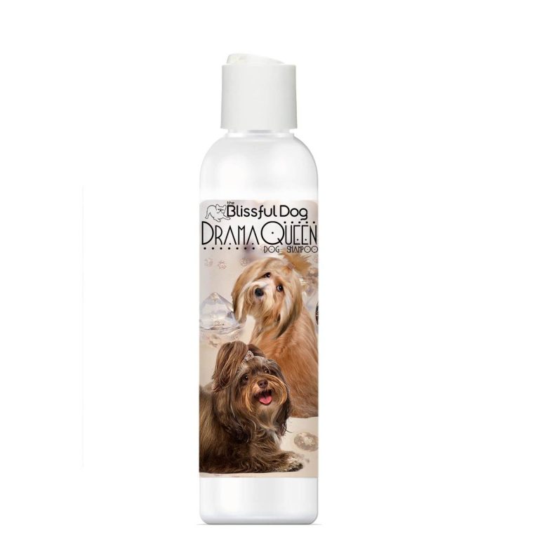 Discover The Best Shampoo For Your Havanese In 2023 – A Comprehensive Guide