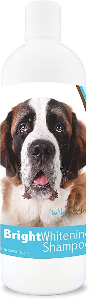 2023: The Best Shampoo For Your St. Bernard’S Shiny Coat