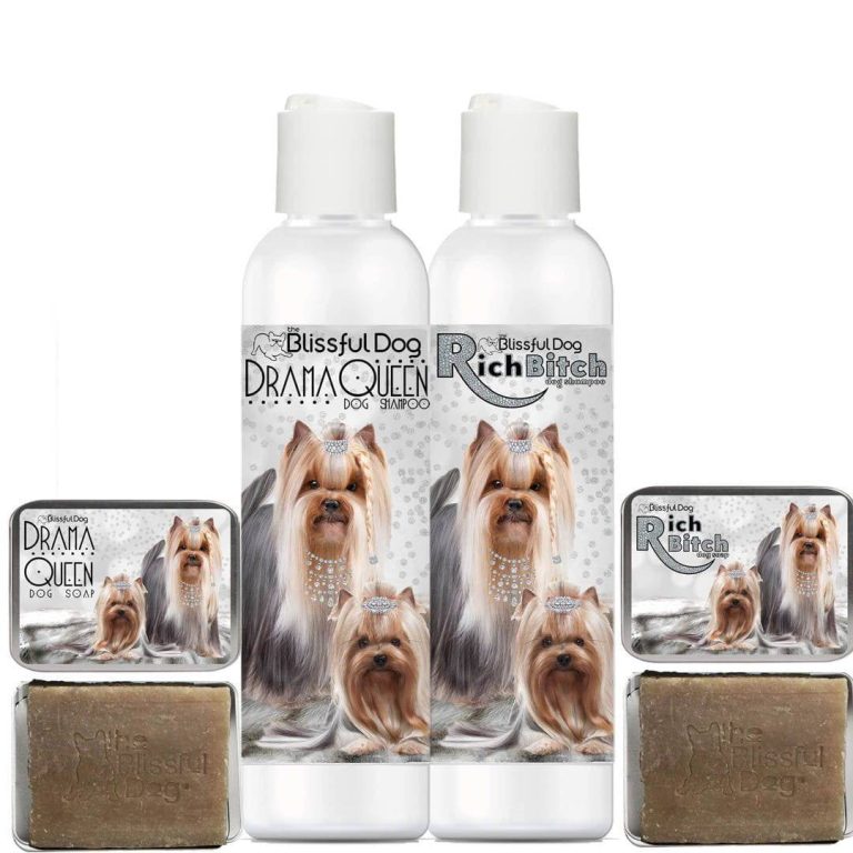 2023’S Top Picks For The Best Shampoo For Your Yorkshire Terrier!