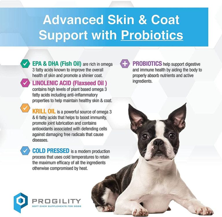 2023’S Best Skin And Coat Supplements For French Bulldogs: The Ultimate Guide